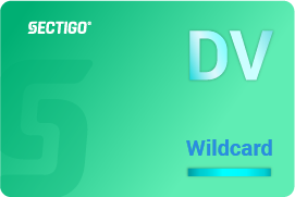 Basic(DV) Wildcard